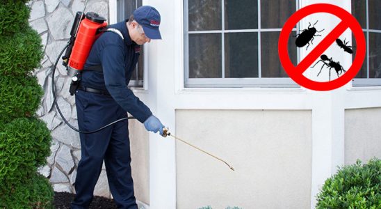 Dilovası Fare İlaçlama böcek ilaçlama ve haşere kontrolü — ilaclama-tr.com